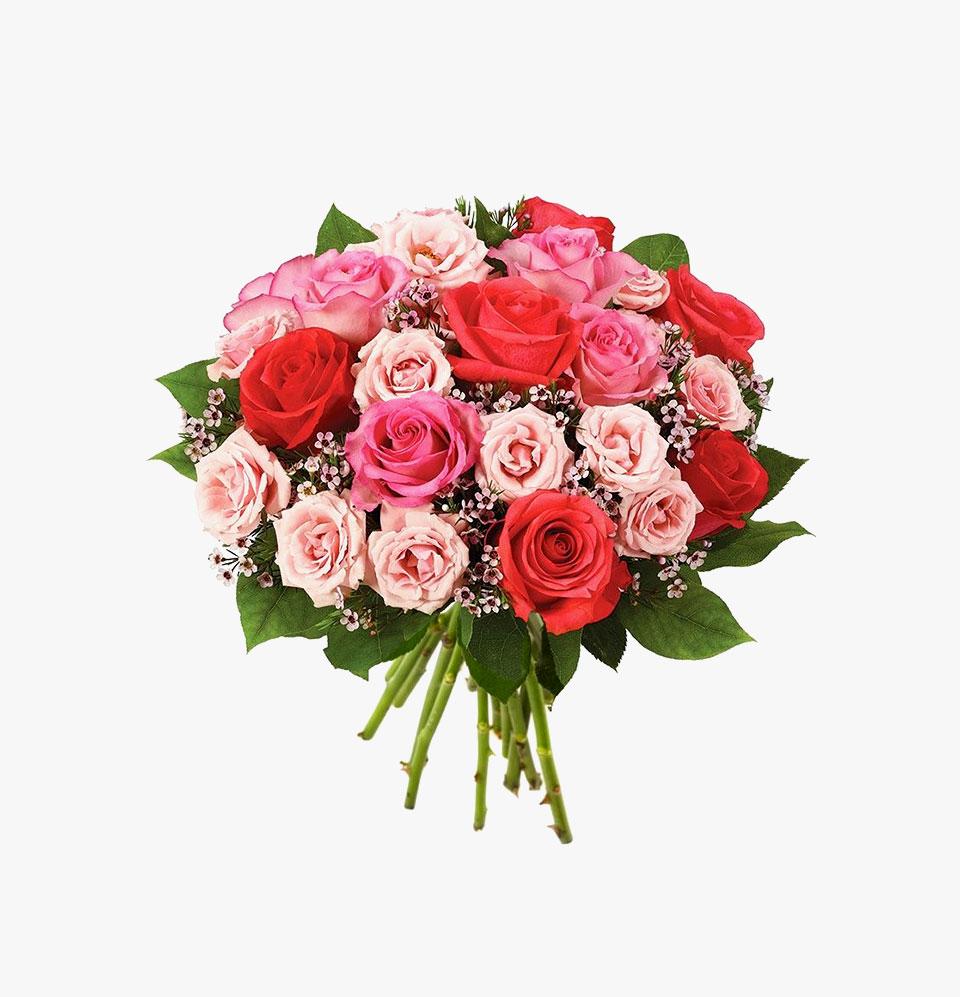 Flower Beautiful